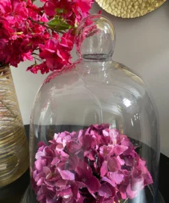 Inspire Me! Home Decor Oversized Glass Bell Cloche