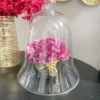 Inspire Me! Home Decor Oversized Glass Bell Cloche