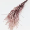 Inspire Me! Home Decor Mauve Pampa Grass Stem