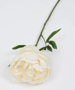 Inspire Me! Home Decor 24.5" Cream Peony Stem