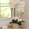 Inspire Me! Home Decor White Potted Faux Orchid In Gold And White Vase