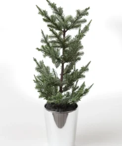 Inspire Me! Home Decor Potted Pine Tree (3 Styles)