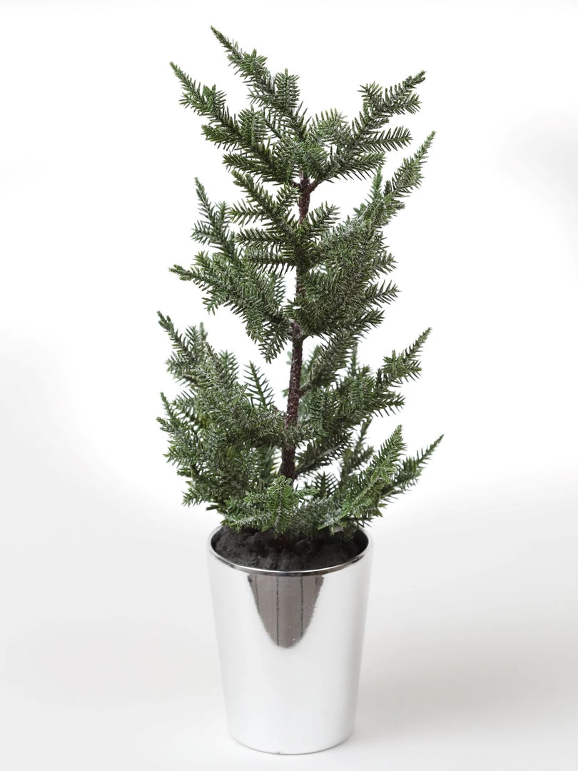 Inspire Me! Home Decor Potted Pine Tree (3 Styles)