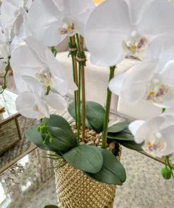 Inspire Me! Home Decor White Orchid In Gold Detailed Pot