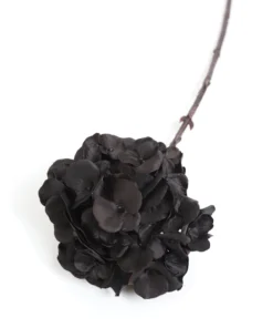Inspire Me! Home Decor Black Hydrangea Stem