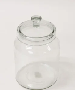 Inspire Me! Home Decor Oversized Glass Jars (3 Sizes)