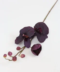 Inspire Me! Home Decor Deep Purple Phalaenopsis Orchid Stem