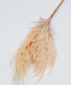 Inspire Me! Home Decor Floral Stems 32" OMBRE Pampa Stem