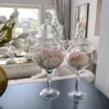 Inspire Me! Home Decor Glass Stem Jar (2 Sizes) Jars