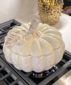 Inspire Me! Home Decor Dolomite Pumpkin Collection ( 3 Sizes And Shapes Available ) KITCHEN