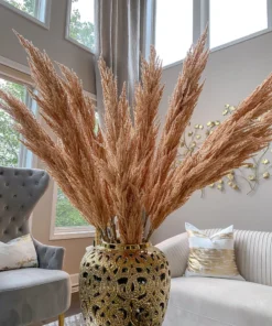 Inspire Me! Home Decor Extra Long Stem Beige Pampas Grass Stem Floral Stems