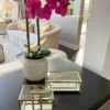 Inspire Me! Home Decor Rectangle Glass & Mirror Box With Gold Feather Detail (2 Sizes)