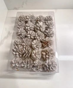 Inspire Me! Home Decor White Decorative Pinecones Box