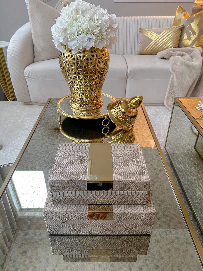 Inspire Me! Home Decor Set Of 2 Gray Snakeskin Print Boxes