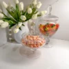 Inspire Me! Home Decor Glass Apothecary Jar With Lid (2 Sizes) Jars