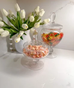 Inspire Me! Home Decor Glass Apothecary Jar With Lid (2 Sizes) Jars