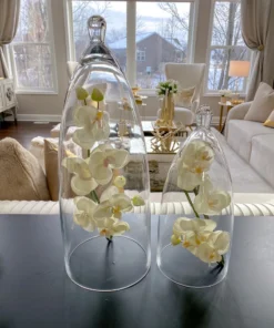 Inspire Me! Home Decor Glass Cloche (2 Sizes)